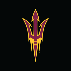 Arizona State University