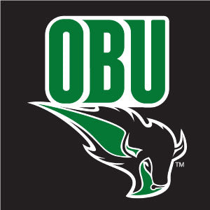 Oklahoma Baptist University Bison