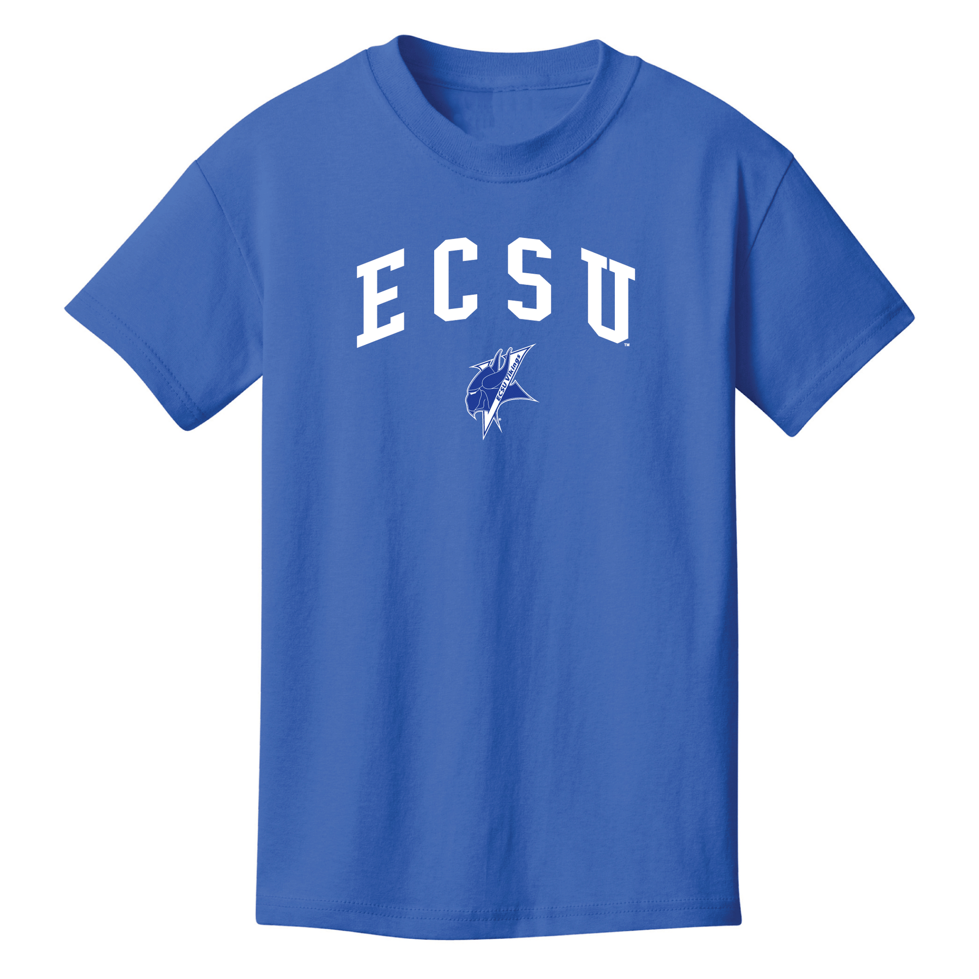 Elizabeth City State University Vikings Jumbo Arch Youth T-Shirt