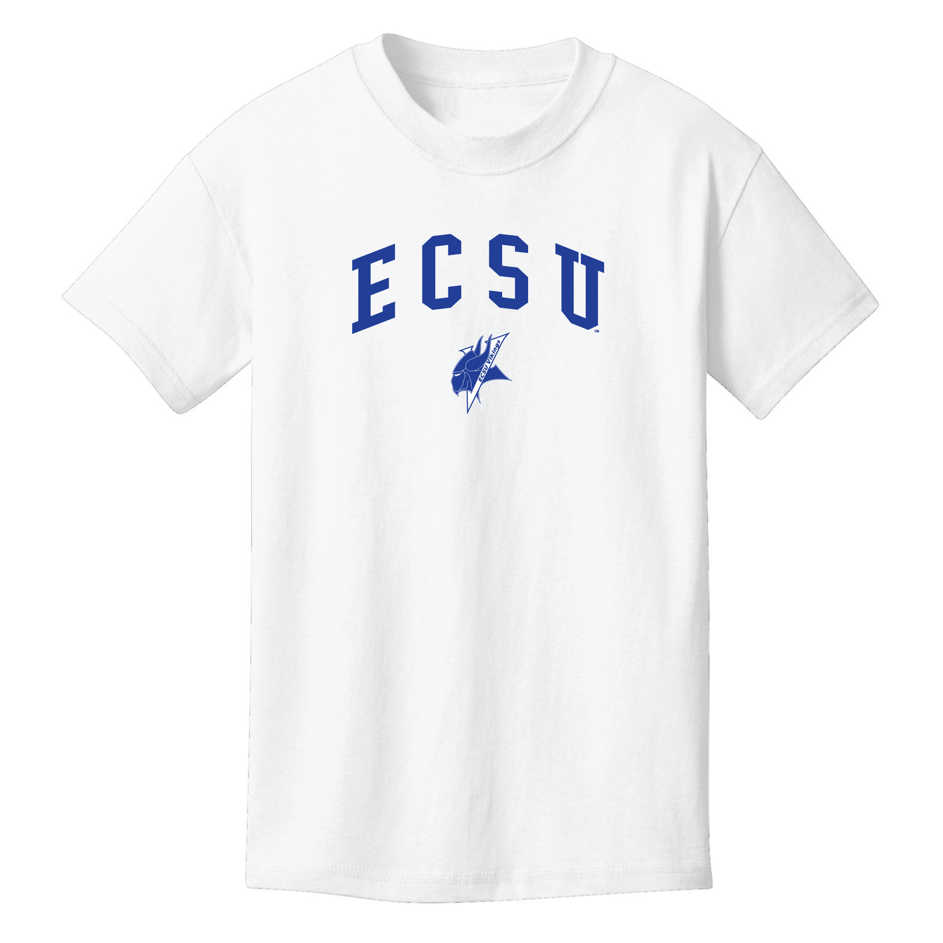 Elizabeth City State University Vikings Jumbo Arch Youth T-Shirt