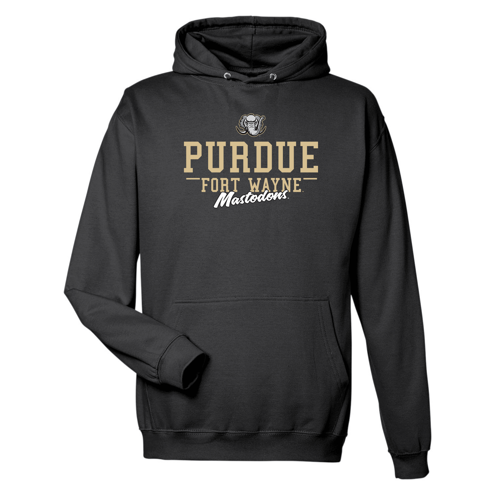 Purdue University Fort Wayne Mastodons Campus Script Hooded Sweatshirt