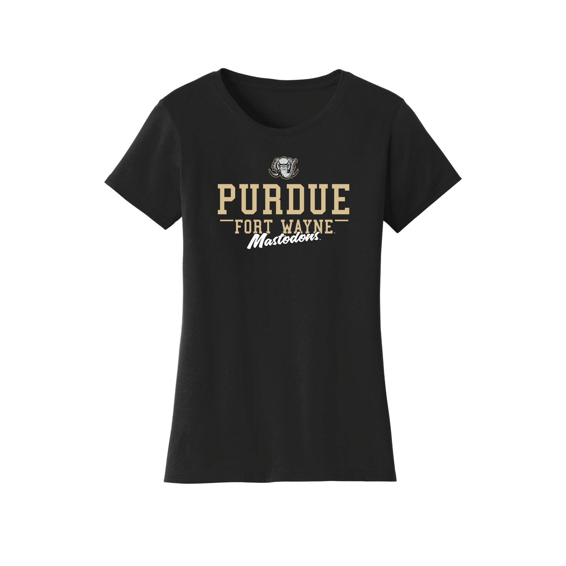 Purdue University Fort Wayne Mastodons Campus Script Womens T-Shirt