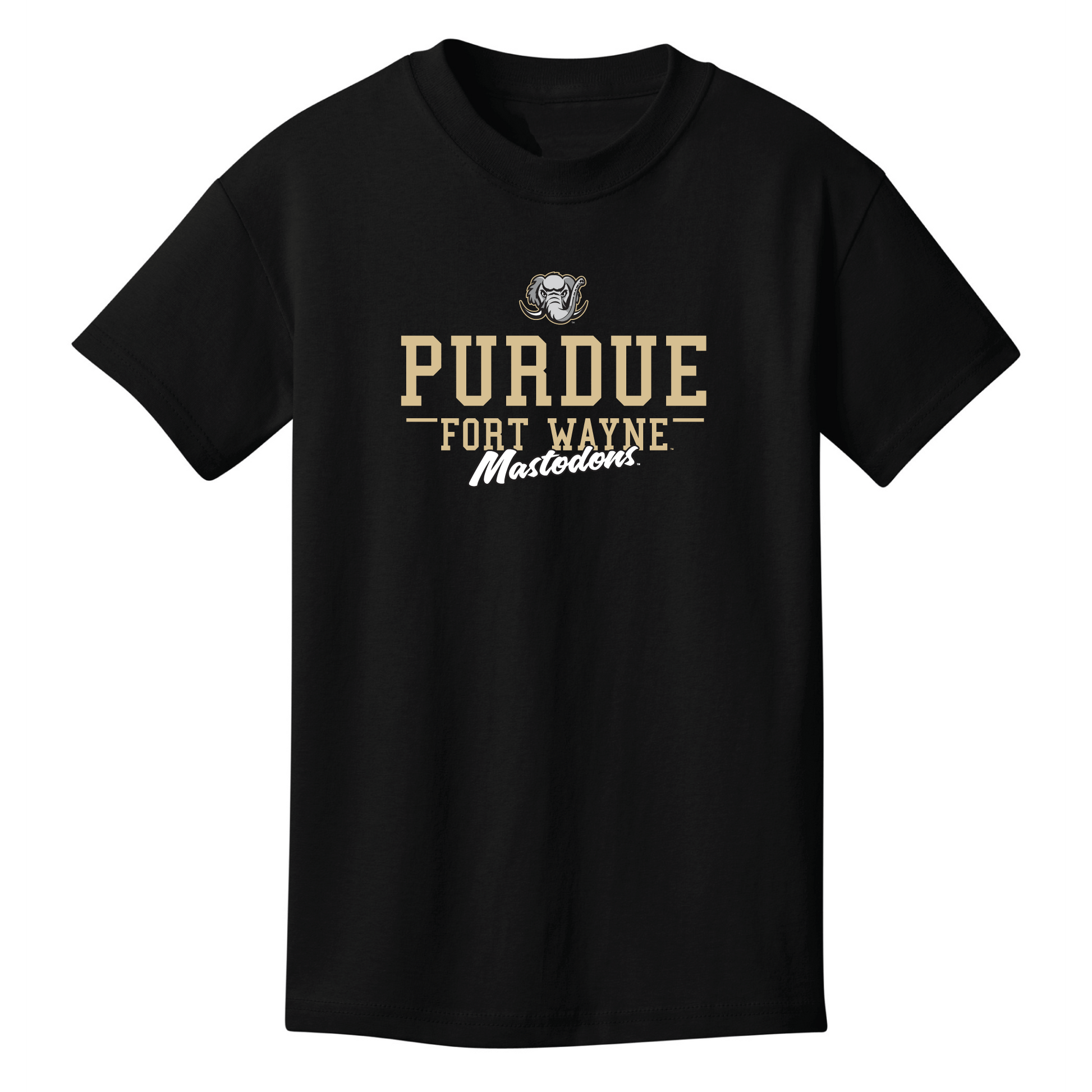 Purdue University Fort Wayne Mastodons Campus Script Youth T-Shirt