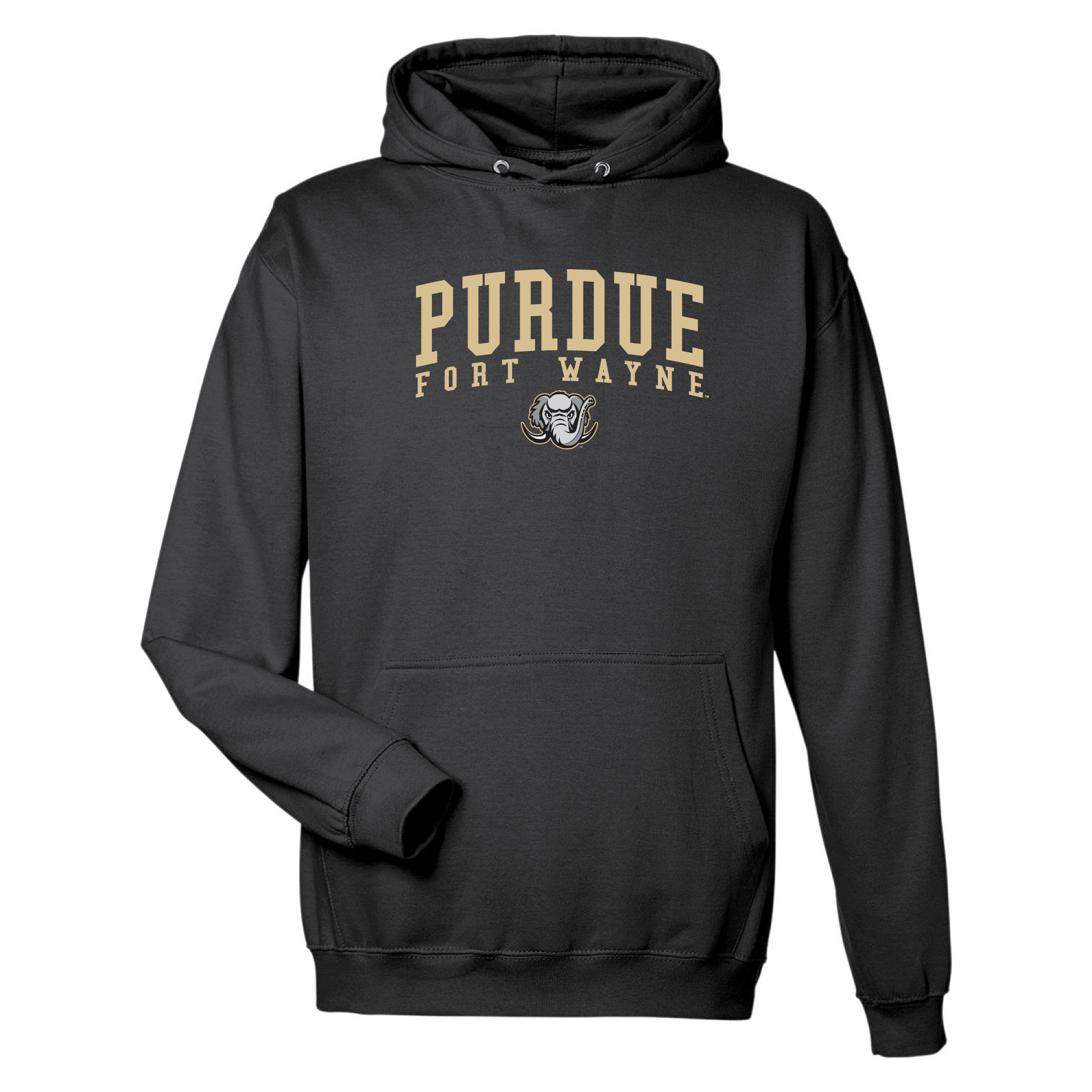 Purdue University Fort Wayne Mastodons Jumbo Arch Hooded Sweatshirt