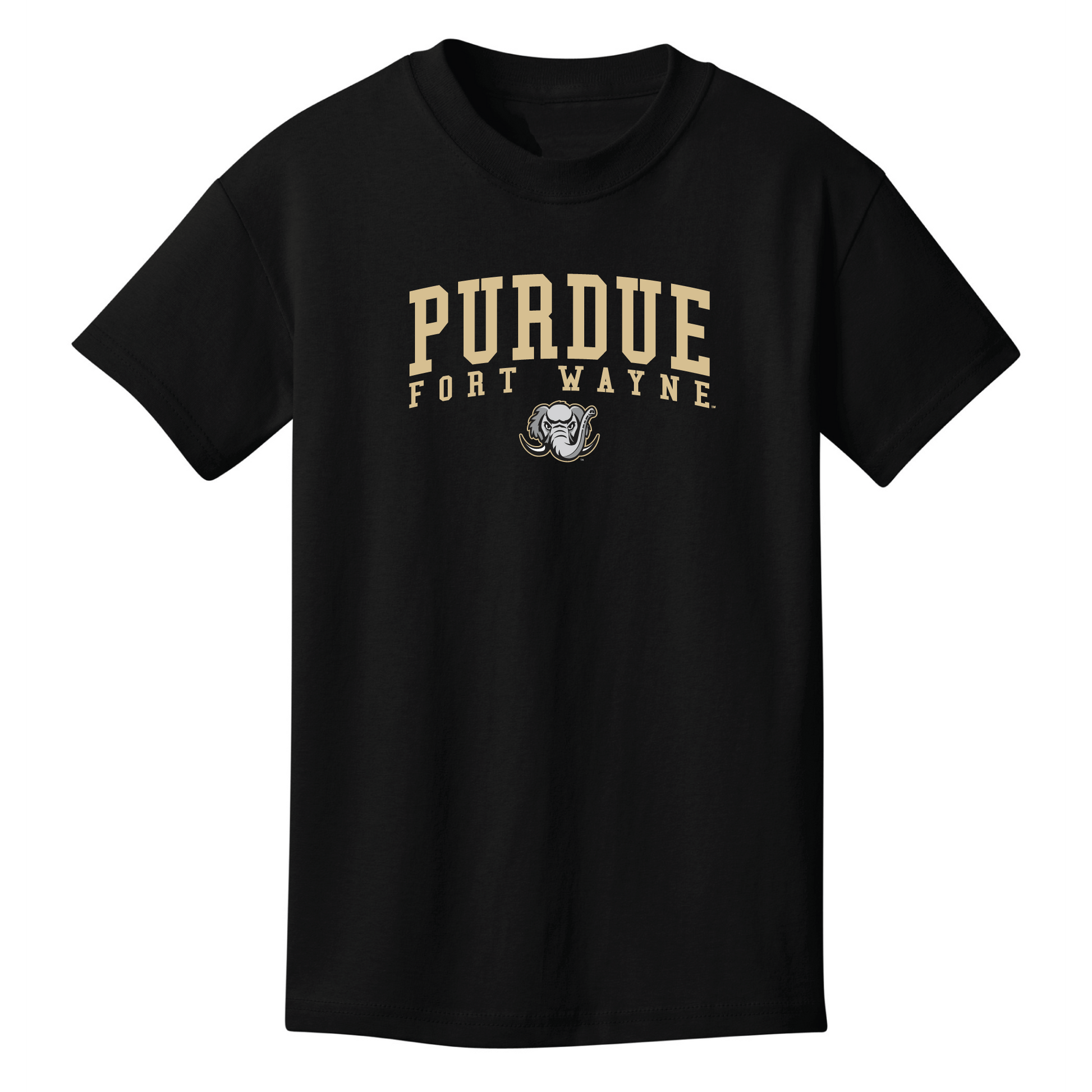 Purdue University Fort Wayne Mastodons Jumbo Arch Youth T-Shirt