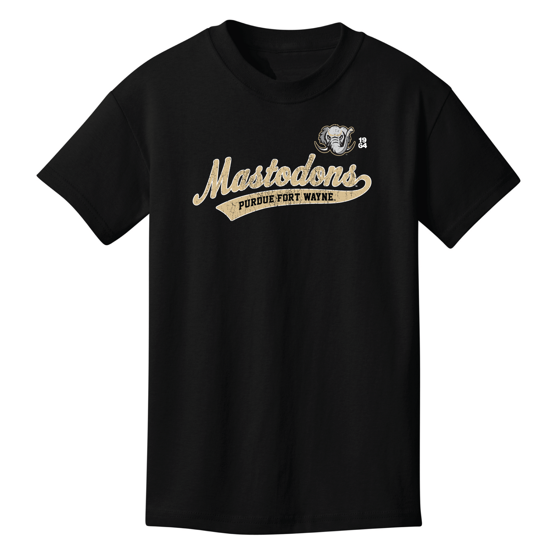 Purdue University Fort Wayne Mastodons Old School Youth T-Shirt
