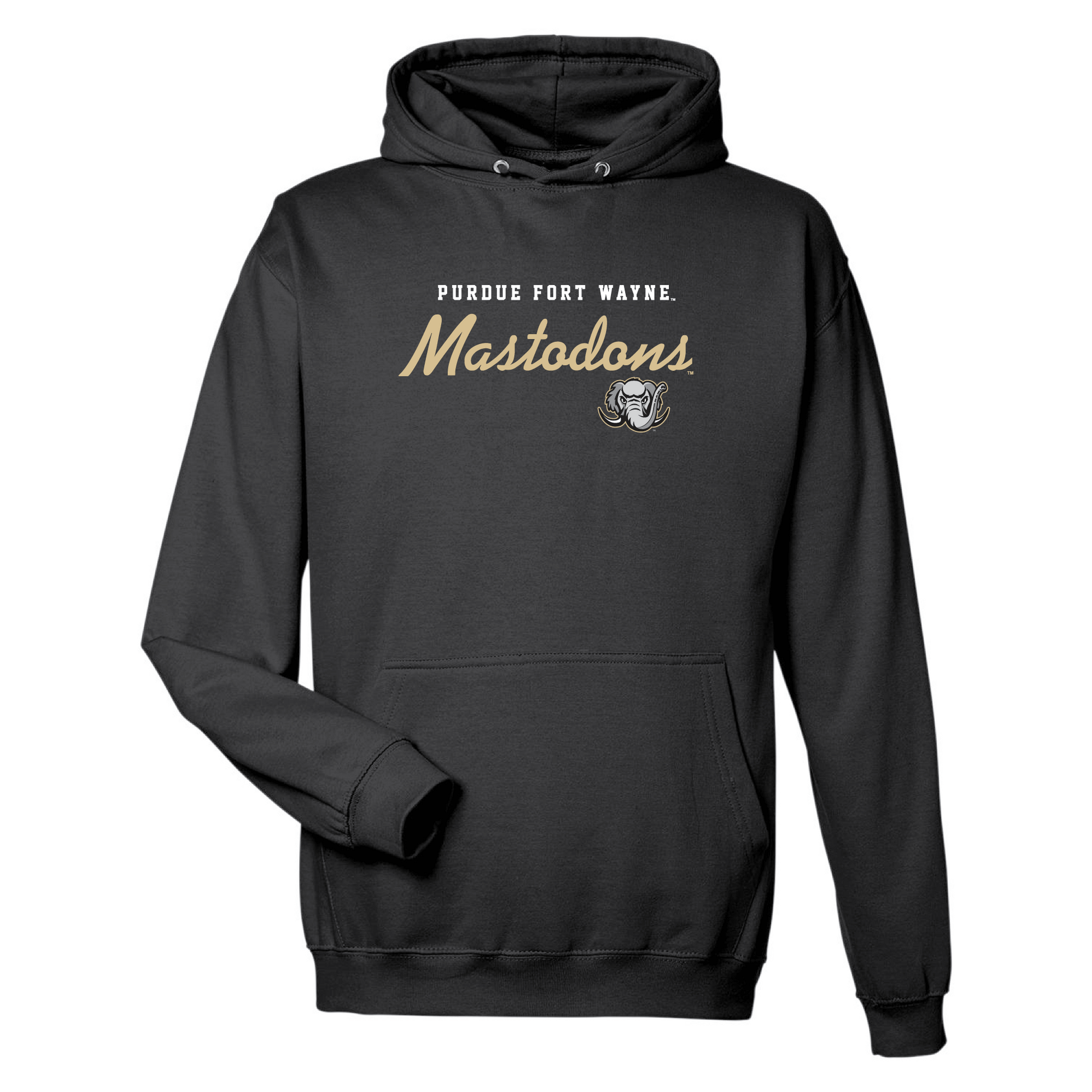 Purdue University Fort Wayne Mastodons Machine Script Hooded Sweatshirt