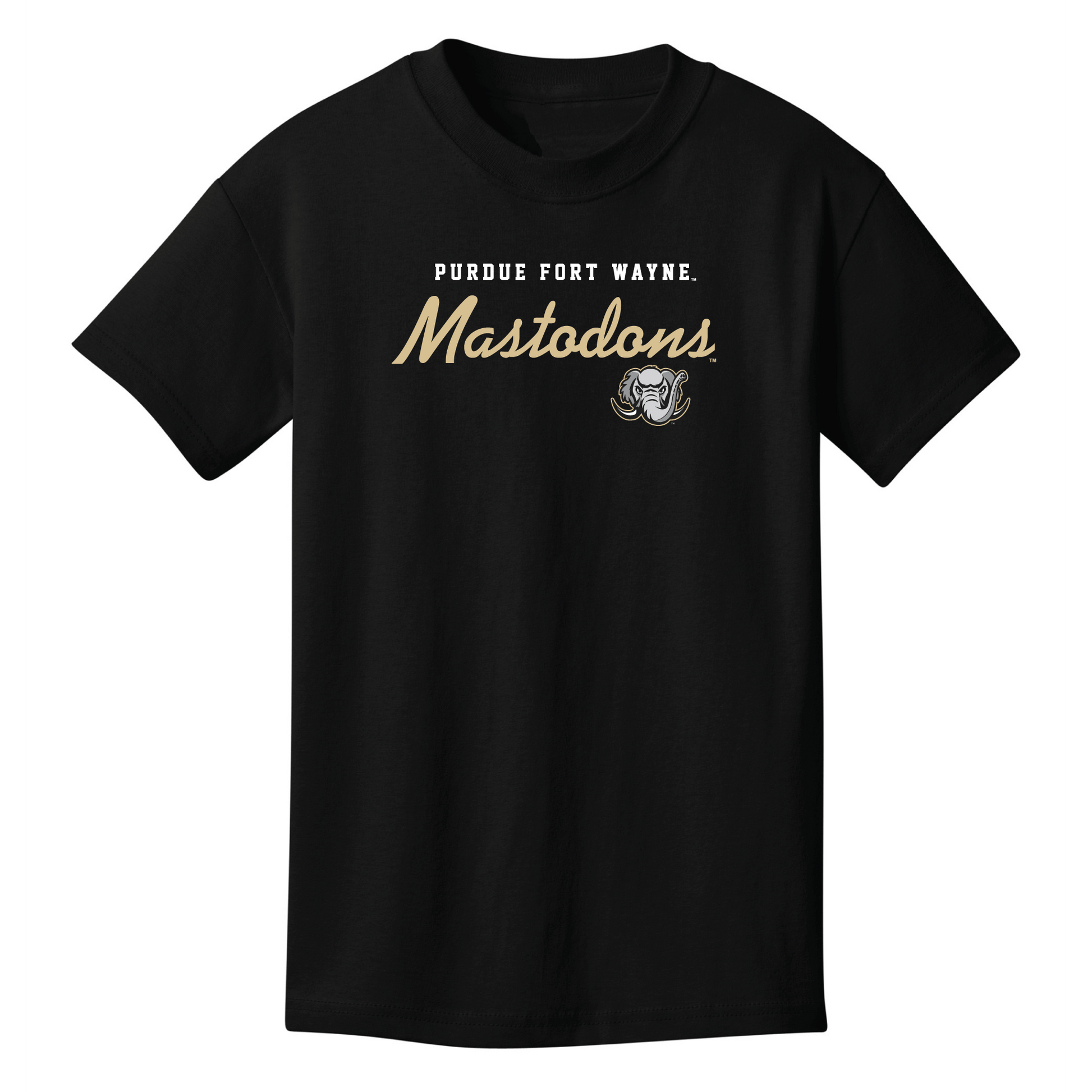 Purdue University Fort Wayne Mastodons Machine Script Youth T-Shirt