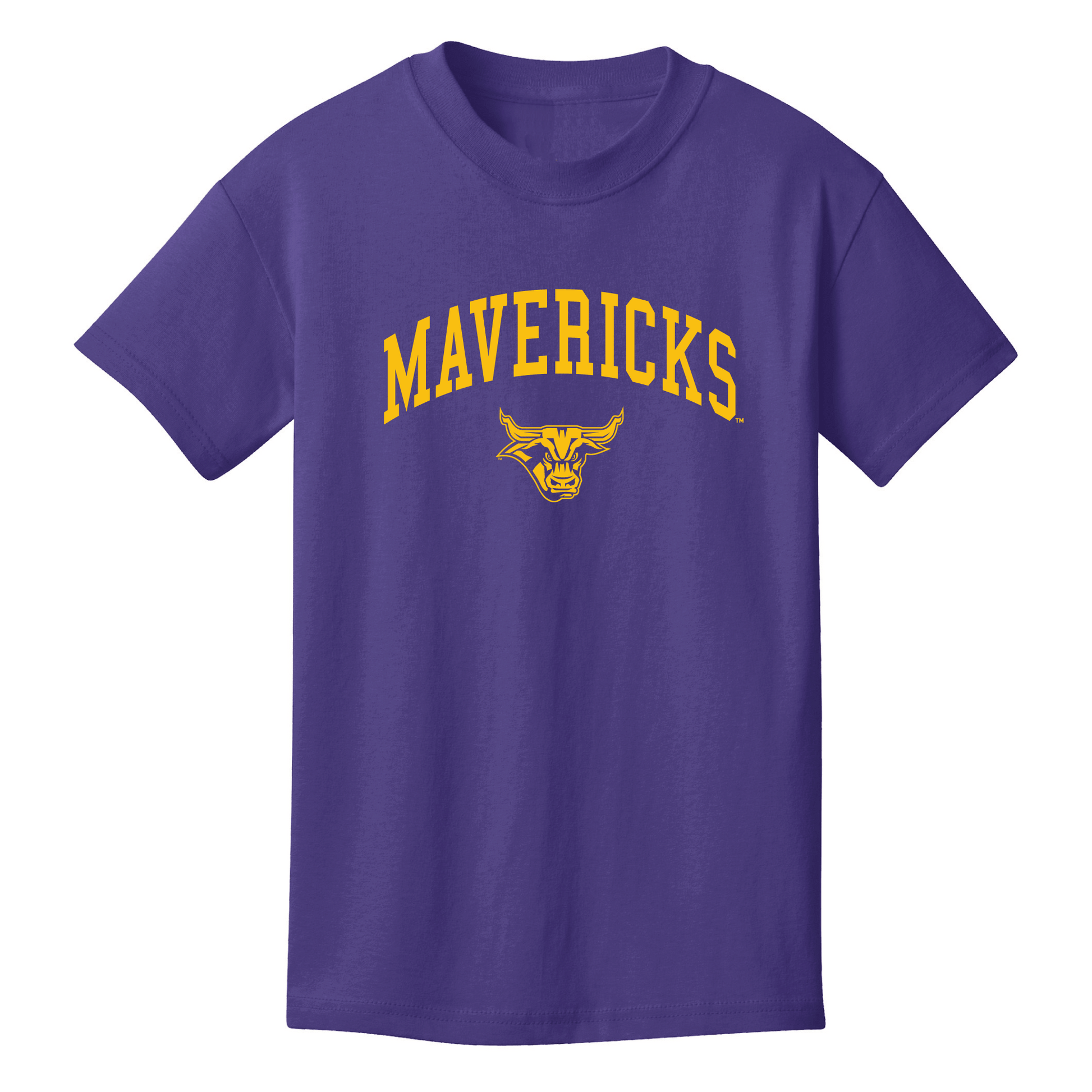 Minnesota State University Mankato Mavericks Jumbo Arch Youth T-Shirt