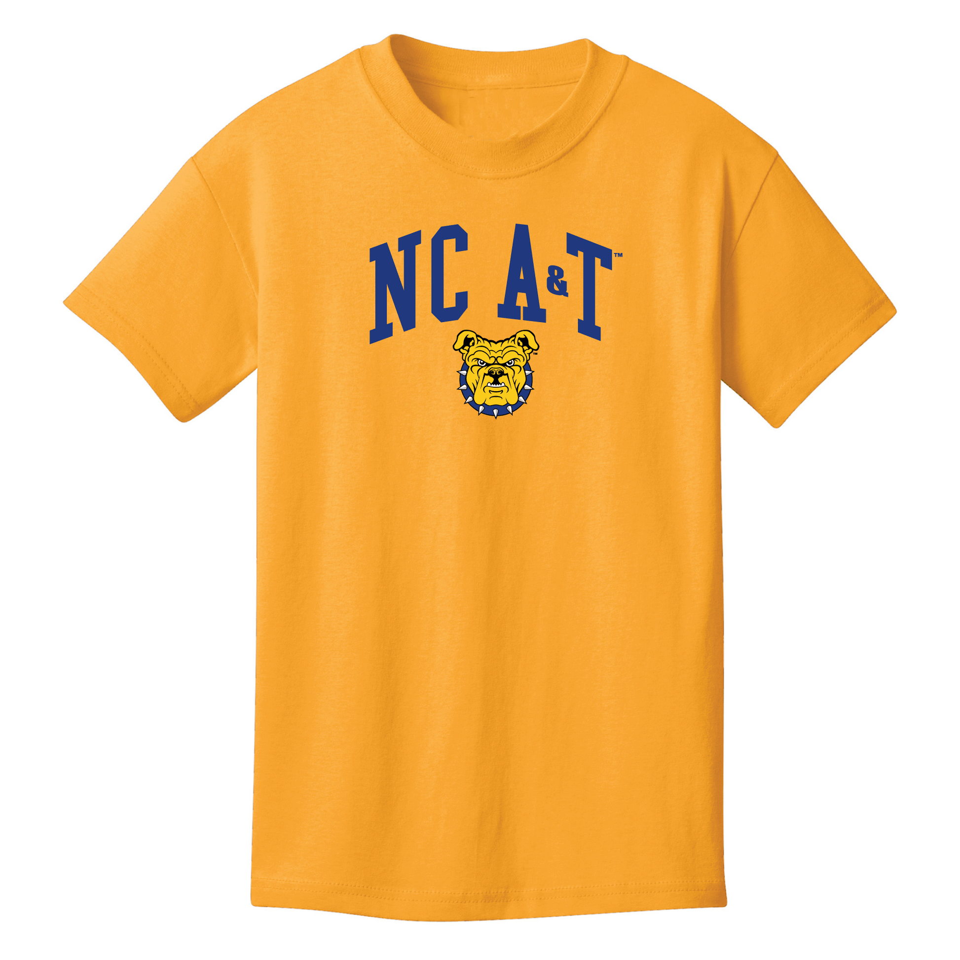 North Carolina Agricultural & Technical State University Aggies Jumbo Arch Youth T-shirt