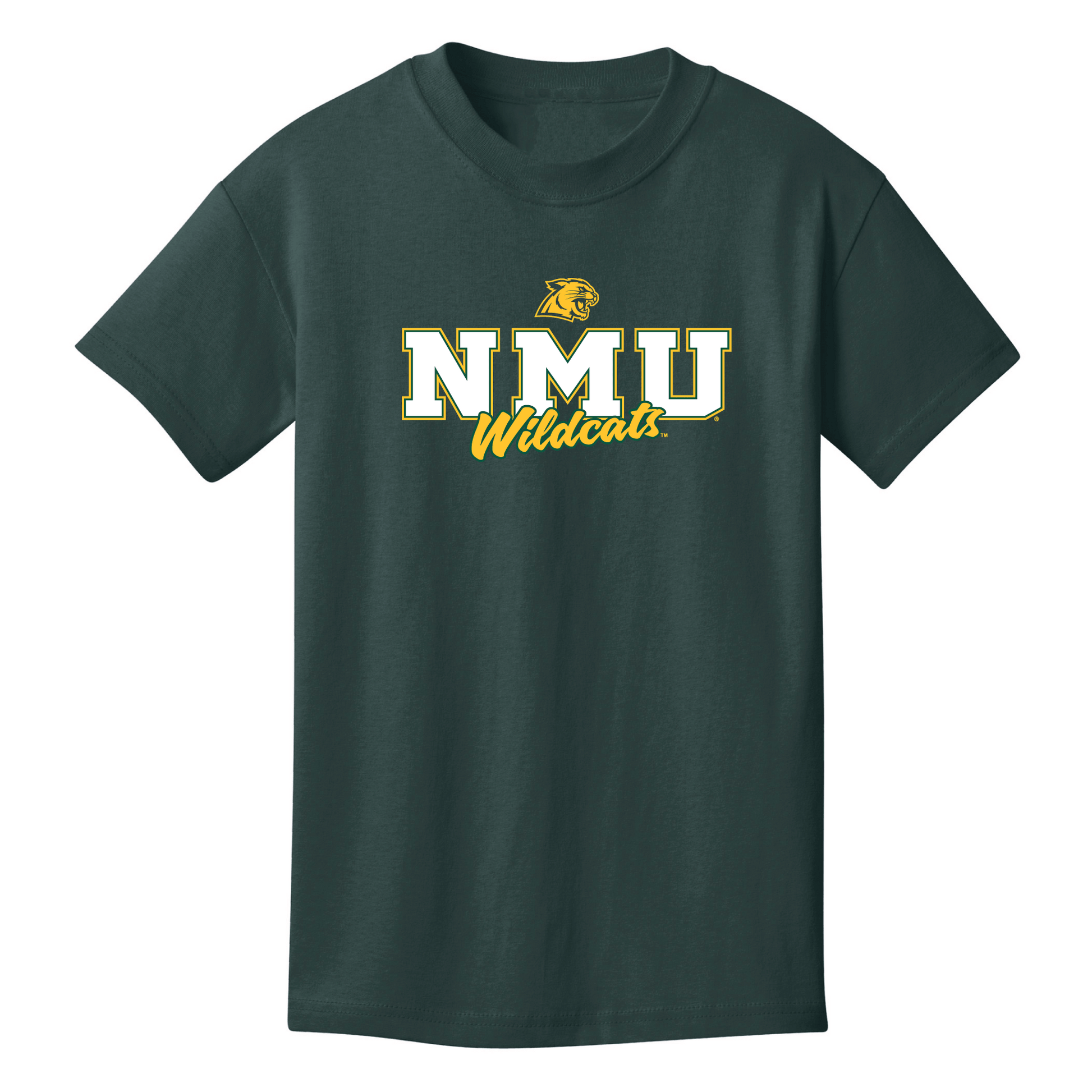  Northern Michigan University Wildcats Campus Script Youth T-Shirt