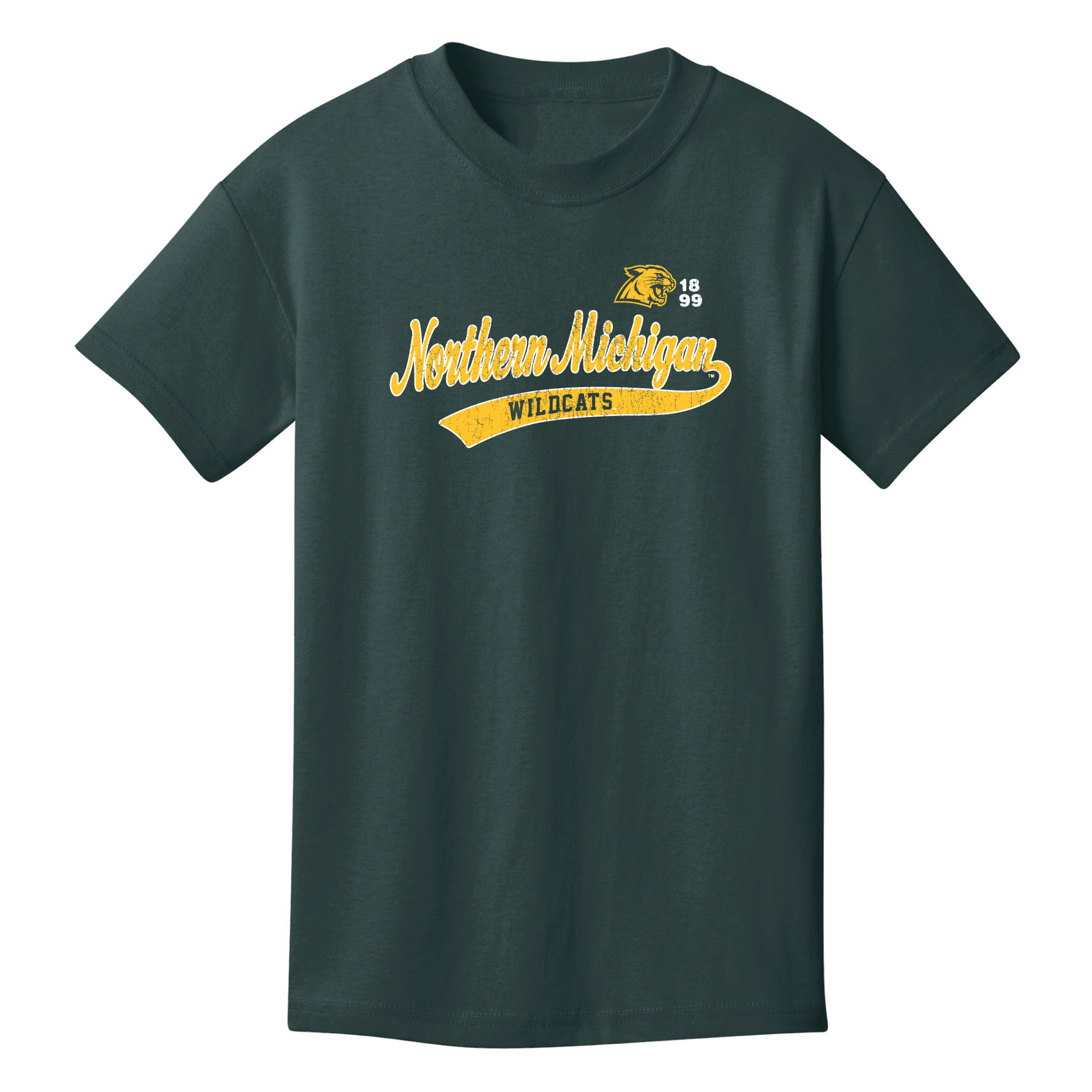  Northern Michigan University Wildcats Old School Youth T-Shirt