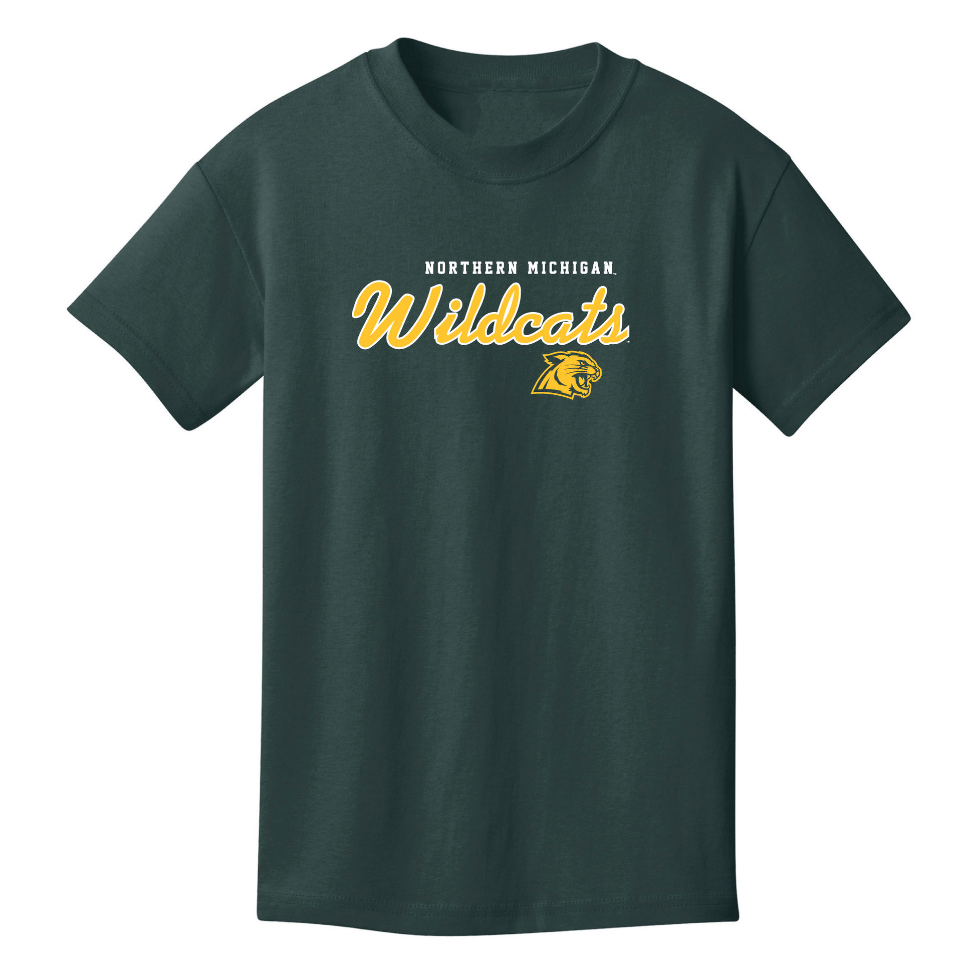  Northern Michigan University Wildcats Machine Script Youth T-Shirt