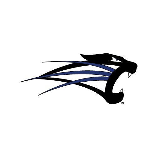 University of St. Francis