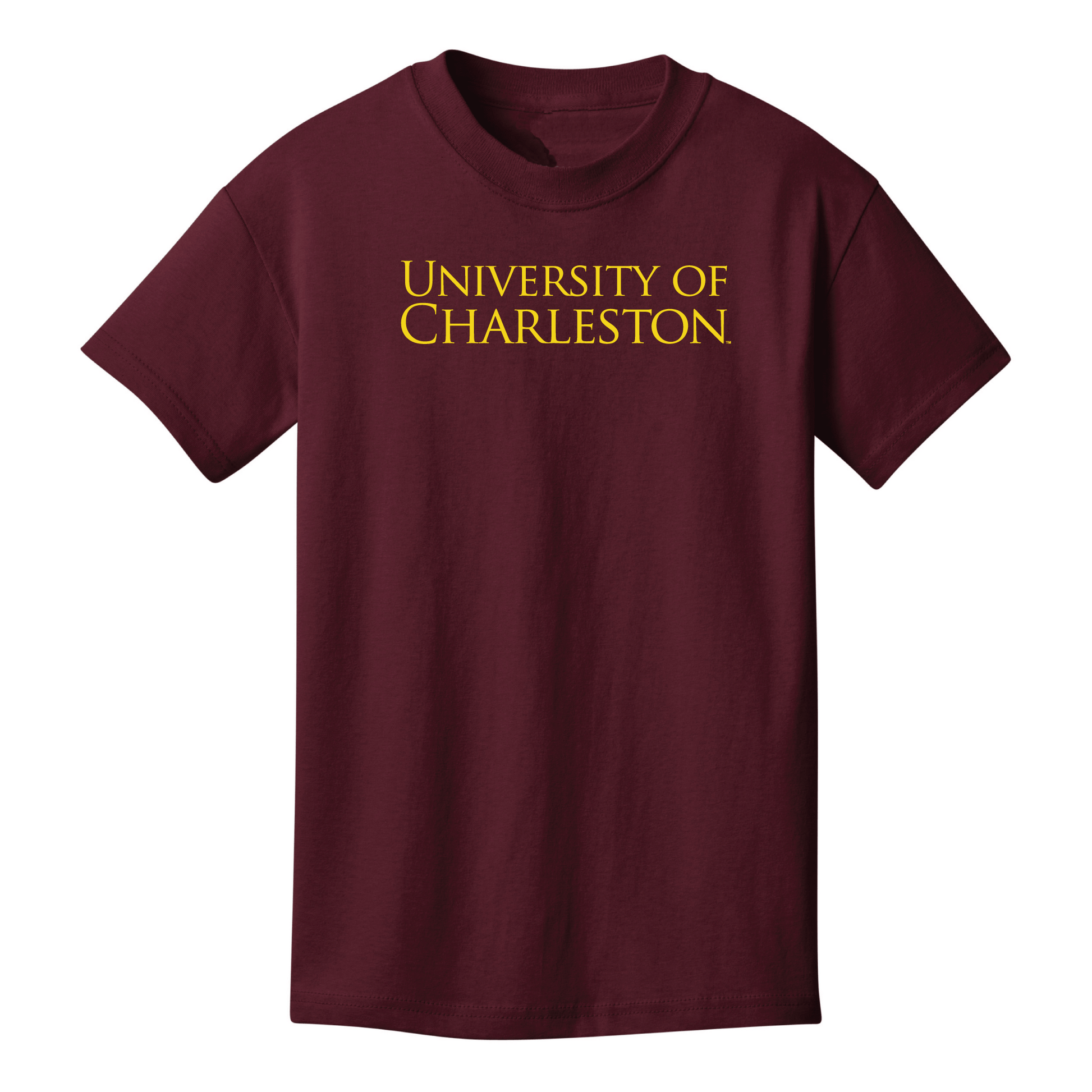 University of Charleston Golden Eagles Block Youth T-Shirt
