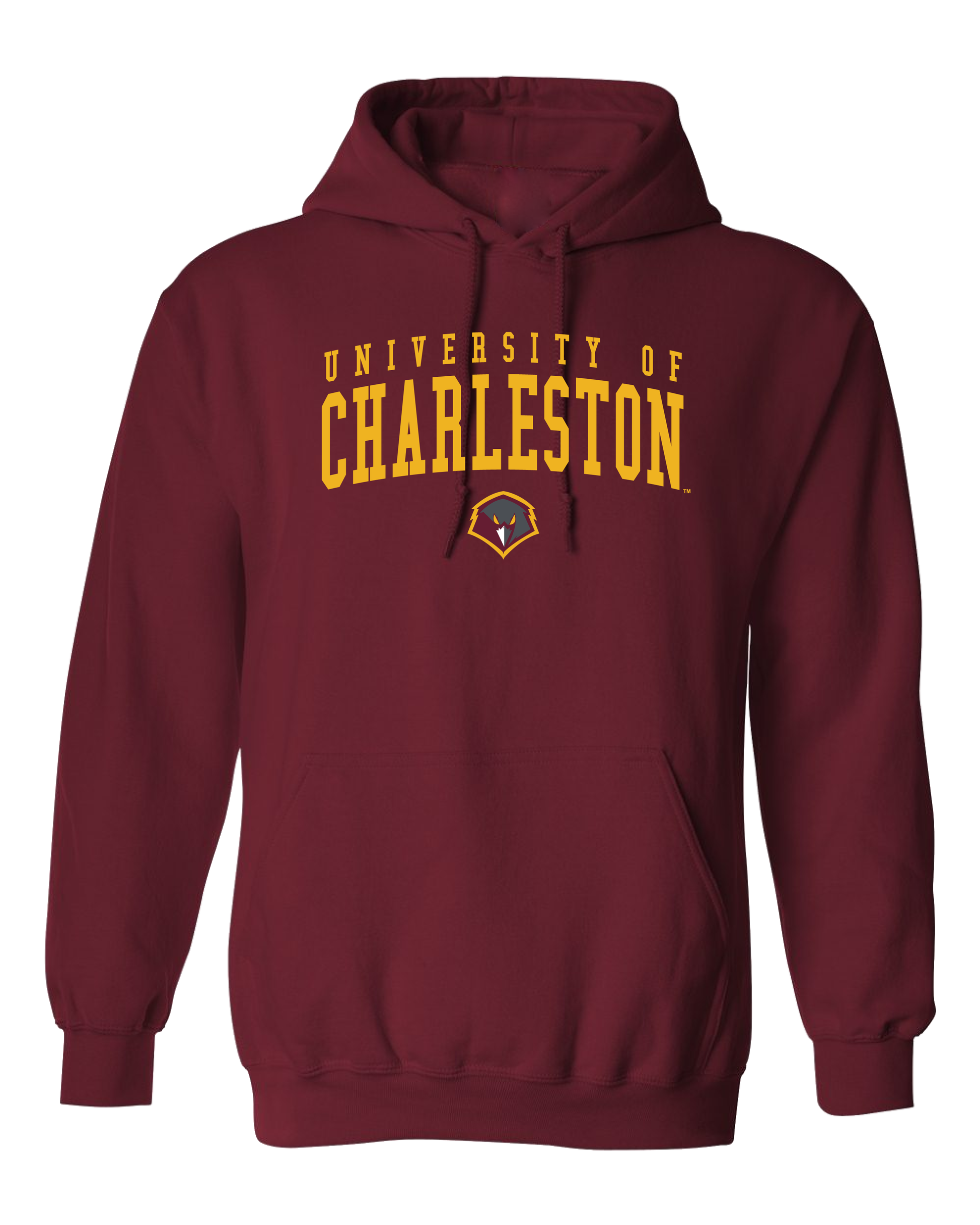 University of Charleston Golden Eagles Jumbo Arch Hooded Sweatshirt