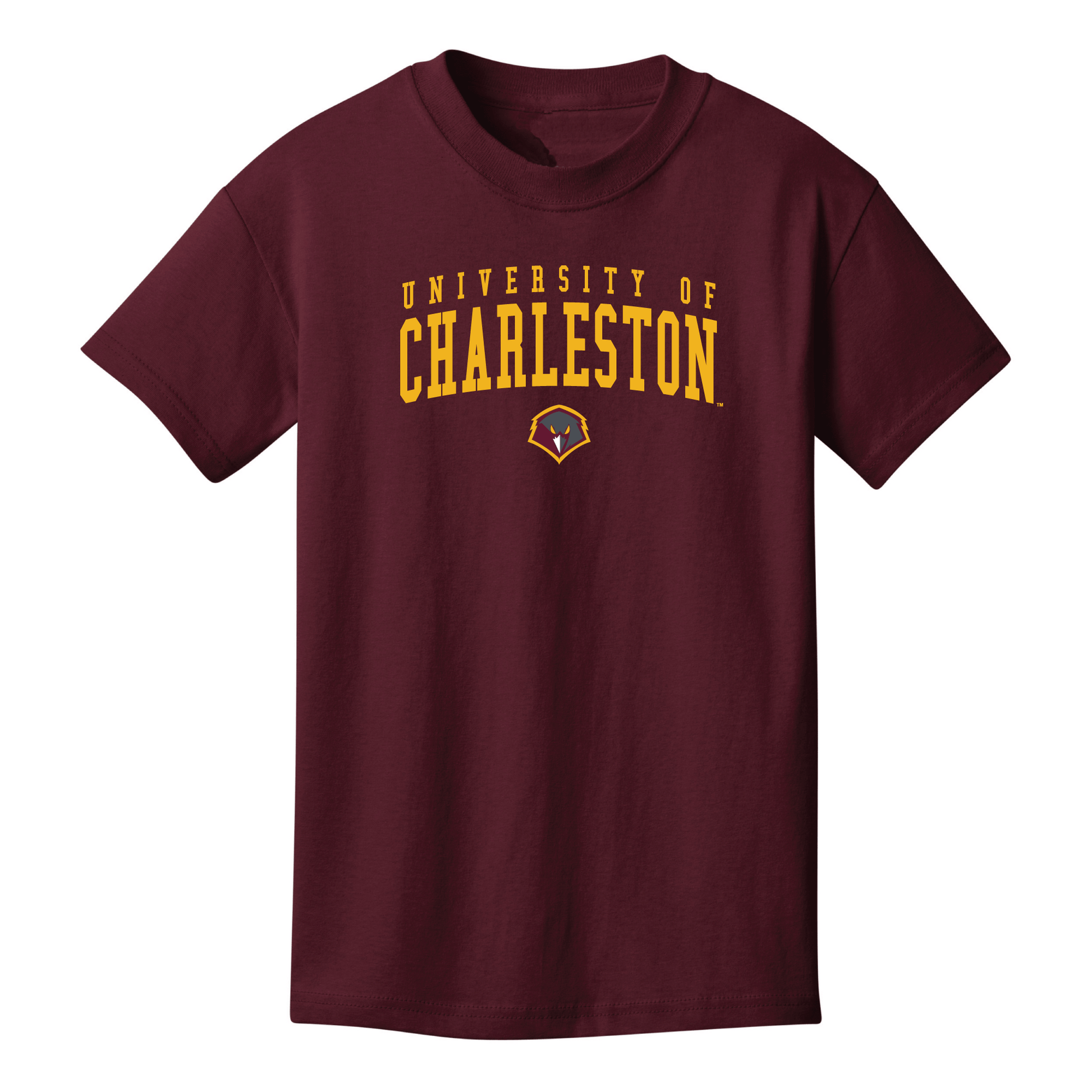 University of Charleston Golden Eagles Jumbo Arch Youth T-Shirt