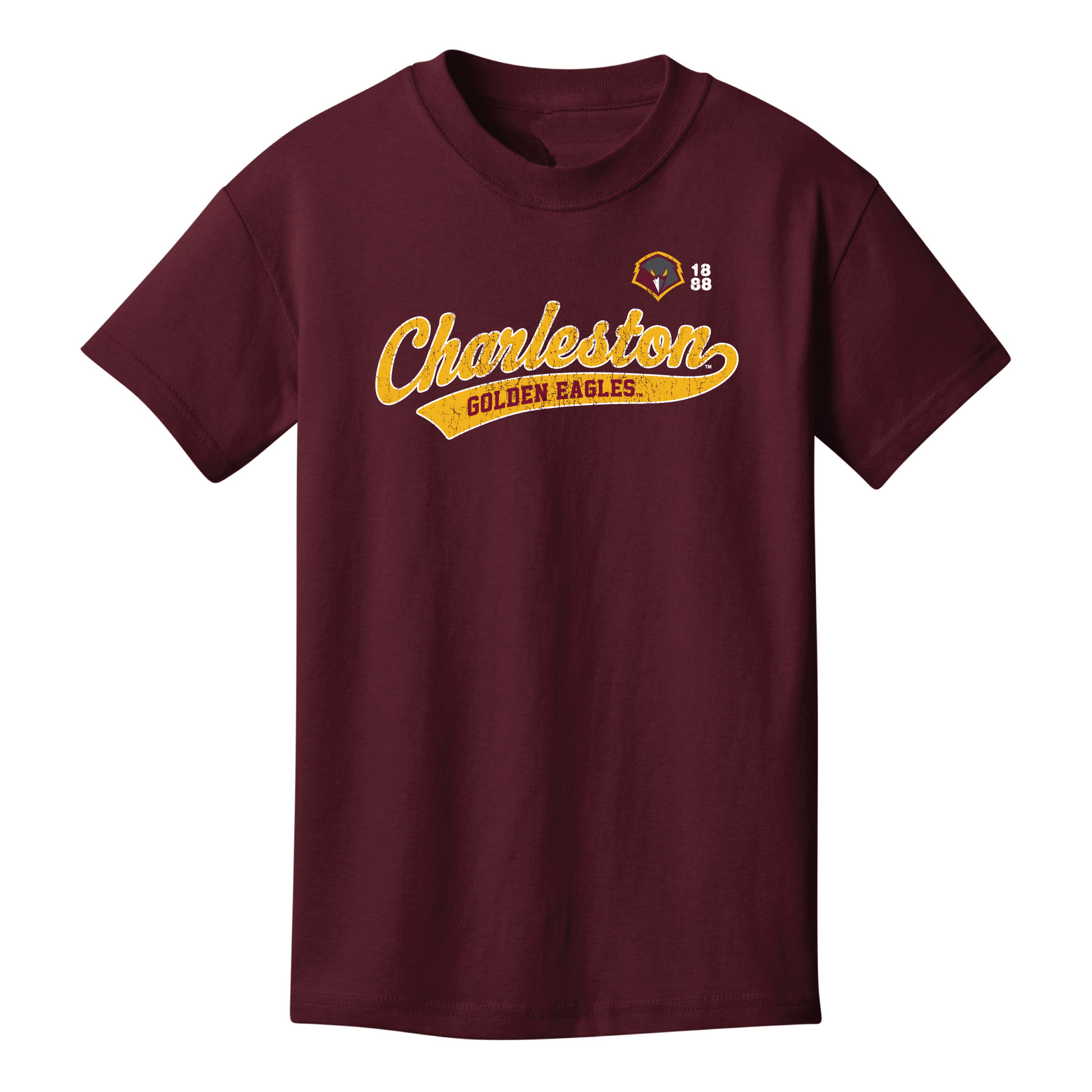 University of Charleston Golden Eagles Old School Youth T-Shirt
