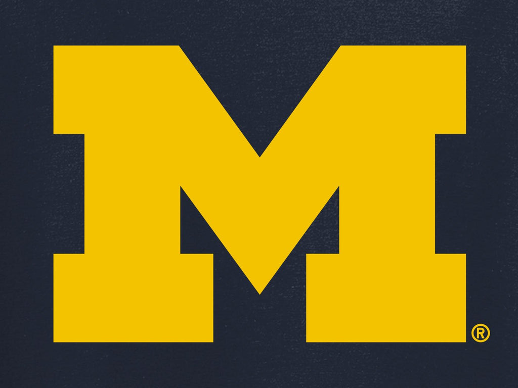 J2 Sport University of Michigan Wolverines NCAA Block M Youth T-Shirt